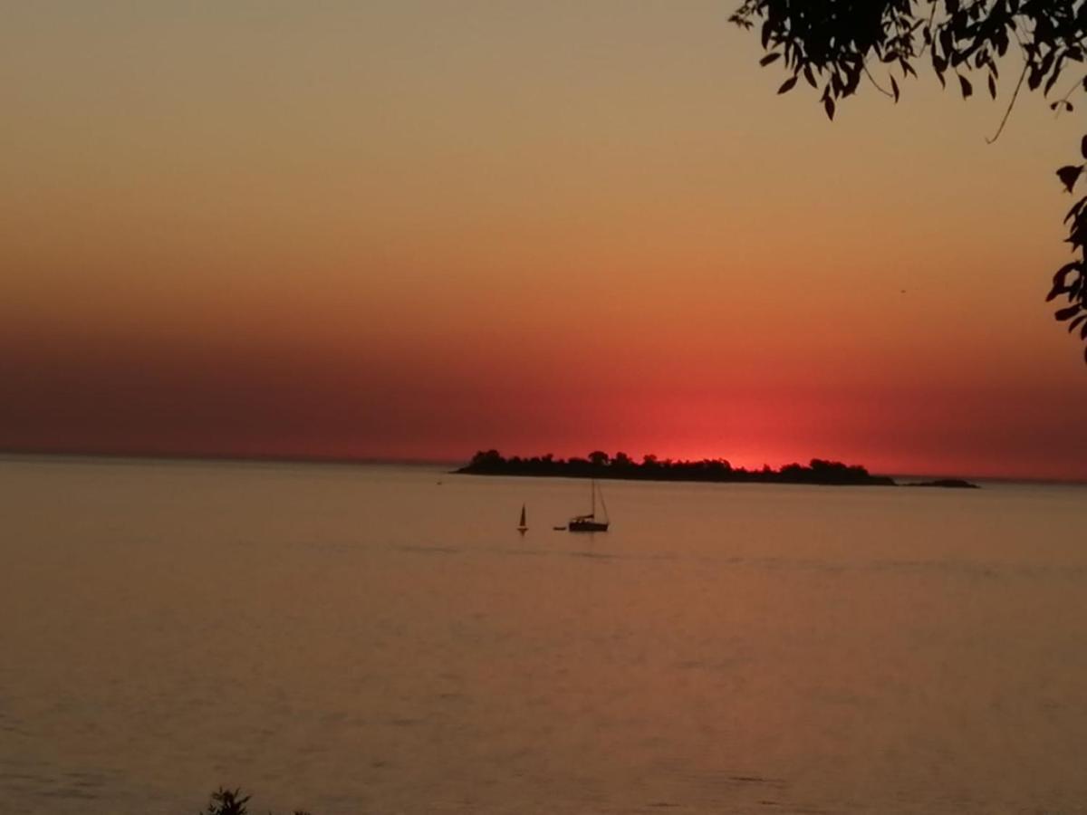 Luz De Jacinta Daire Colonia del Sacramento Dış mekan fotoğraf
