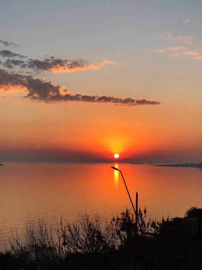Luz De Jacinta Daire Colonia del Sacramento Dış mekan fotoğraf